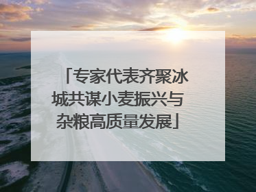 专家代表齐聚冰城共谋小麦振兴与杂粮高质量发展