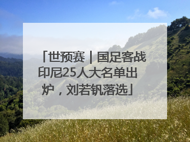世预赛｜国足客战印尼25人大名单出炉，刘若钒落选