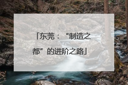 东莞：“制造之都”的进阶之路