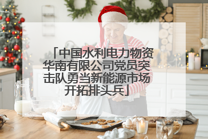 中国水利电力物资华南有限公司党员突击队勇当新能源市场开拓排头兵