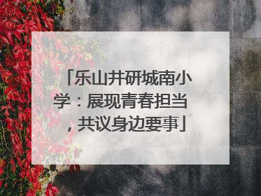 乐山井研城南小学：展现青春担当，共议身边要事