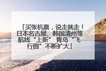 买张机票，说走就走！日本名古屋、韩国清州等航线“上新” 青岛“飞行圈”不断扩大