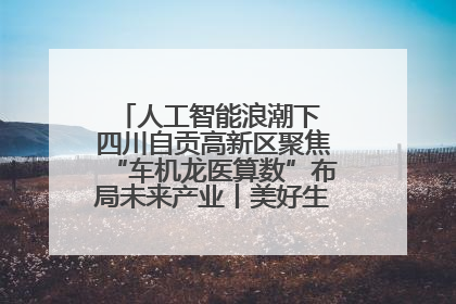人工智能浪潮下 四川自贡高新区聚焦“车机龙医算数”布局未来产业丨美好生活有“盐”味