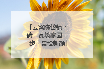 云霄陈岱镇：一砖一瓦筑家园 一步一景绘新颜