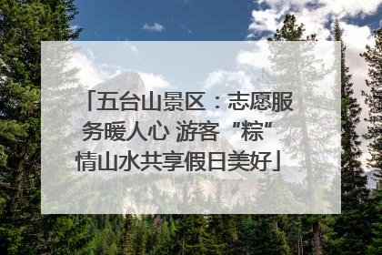 五台山景区：志愿服务暖人心 游客“粽”情山水共享假日美好
