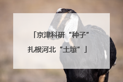 京津科研“种子”扎根河北“土壤”