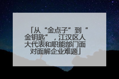 从“金点子”到“金钥匙”，江汉区人大代表和职能部门面对面解企业难题