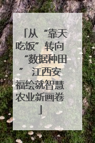 从“靠天吃饭”转向“数据种田” 江西安福绘就智慧农业新画卷