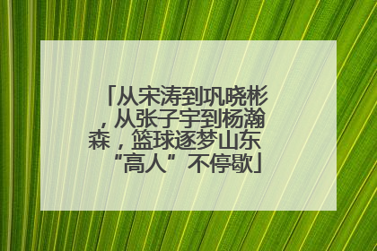 从宋涛到巩晓彬，从张子宇到杨瀚森，篮球逐梦山东“高人”不停歇