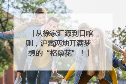 从徐家汇源到日喀则，沪藏两地开满梦想的“格桑花”！