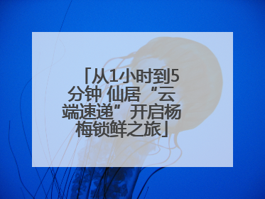 从1小时到5分钟 仙居“云端速递”开启杨梅锁鲜之旅