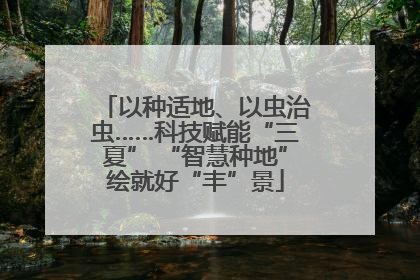 以种适地、以虫治虫……科技赋能“三夏” “智慧种地”绘就好“丰”景