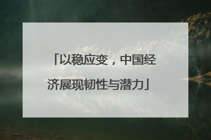 以稳应变，中国经济展现韧性与潜力