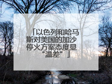 以色列和哈马斯对美国的加沙停火方案态度显“温差”