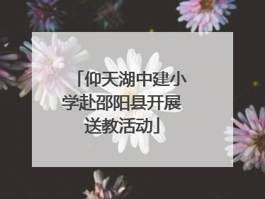仰天湖中建小学赴邵阳县开展送教活动