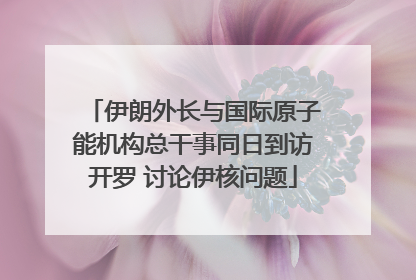 伊朗外长与国际原子能机构总干事同日到访开罗 讨论伊核问题