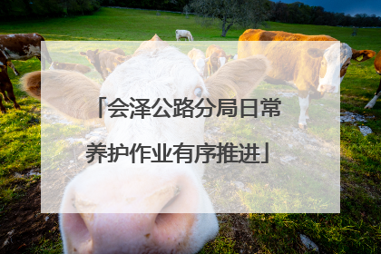 会泽公路分局日常养护作业有序推进