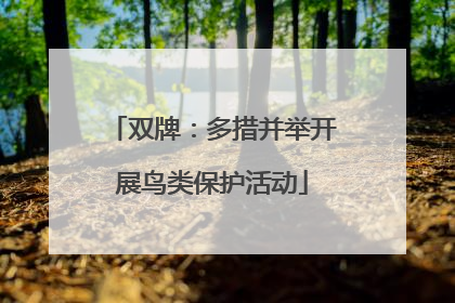 双牌：多措并举开展鸟类保护活动