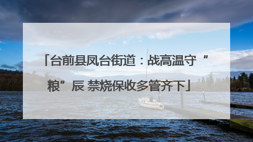 台前县凤台街道：战高温守“粮”辰 禁烧保收多管齐下