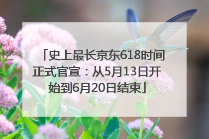 史上最长京东618时间正式官宣：从5月13日开始到6月20日结束