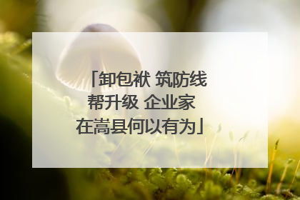 卸包袱 筑防线 帮升级 企业家在嵩县何以有为