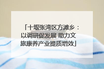 十堰张湾区方滩乡：以调研促发展 助力文旅康养产业提质增效