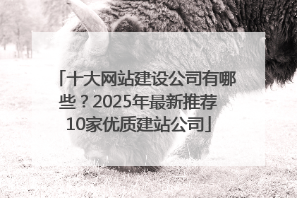 十大网站建设公司有哪些？2025年最新推荐10家优质建站公司