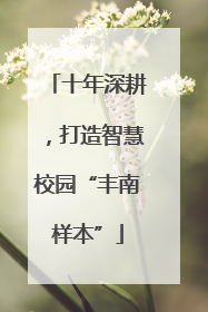 十年深耕，打造智慧校园“丰南样本”