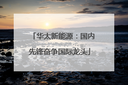 华太新能源：国内先锋奋争国际龙头