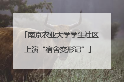 南京农业大学学生社区上演“宿舍变形记”