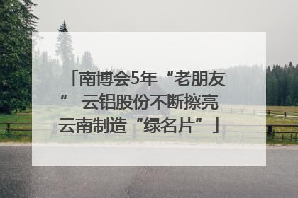 南博会5年“老朋友” 云铝股份不断擦亮云南制造“绿名片”