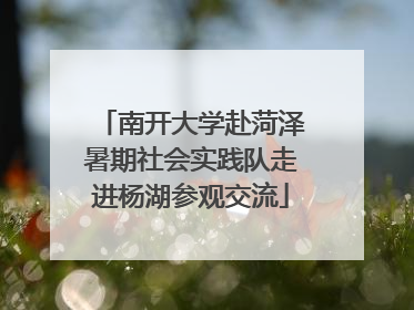 南开大学赴菏泽暑期社会实践队走进杨湖参观交流