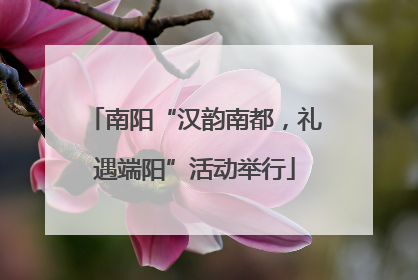 南阳“汉韵南都，礼遇端阳”活动举行