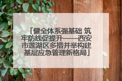 健全体系强基础 筑牢防线促提升——西安市莲湖区多措并举构建基层应急管理新格局