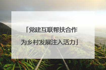 党建互联帮扶合作 为乡村发展注入活力