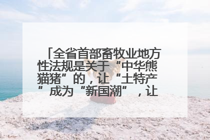 全省首部畜牧业地方性法规是关于“中华熊猫猪”的，让“土特产”成为“新国潮”，让“农产品”升格为“城市IP”