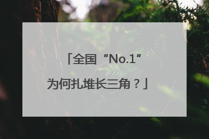 全国“No.1”为何扎堆长三角？