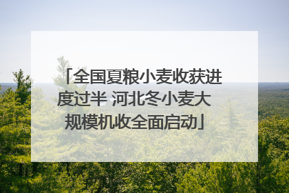 全国夏粮小麦收获进度过半 河北冬小麦大规模机收全面启动
