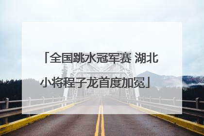 全国跳水冠军赛 湖北小将程子龙首度加冕