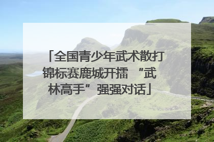 全国青少年武术散打锦标赛鹿城开擂 “武林高手”强强对话