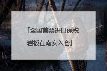 全国首票进口保税岩板在南安入仓