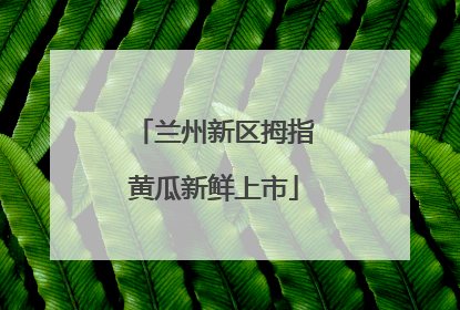兰州新区拇指黄瓜新鲜上市