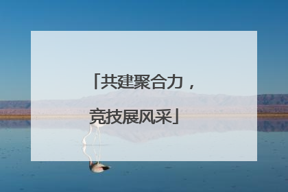共建聚合力，竞技展风采