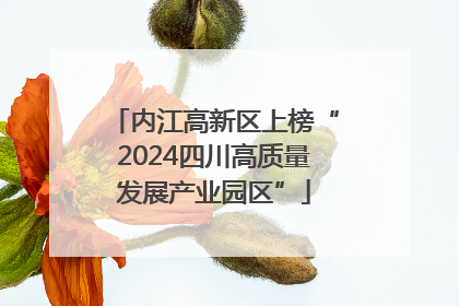 内江高新区上榜“2024四川高质量发展产业园区”