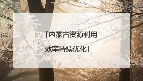 内蒙古资源利用效率持续优化