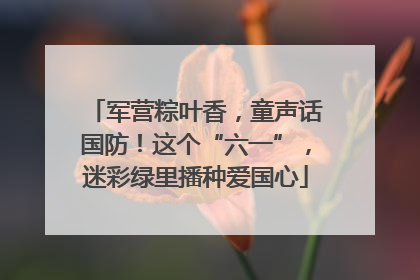 军营粽叶香，童声话国防！这个“六一”，迷彩绿里播种爱国心