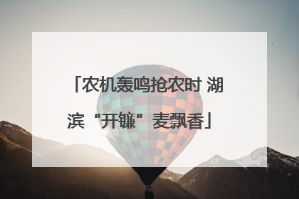 农机轰鸣抢农时 湖滨“开镰”麦飘香