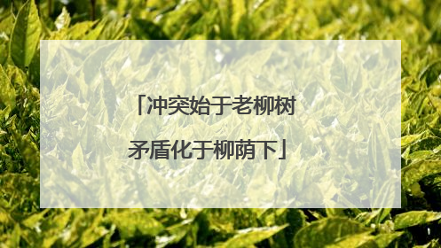 冲突始于老柳树 矛盾化于柳荫下