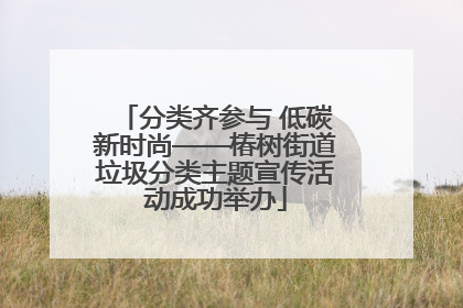 分类齐参与 低碳新时尚——椿树街道垃圾分类主题宣传活动成功举办