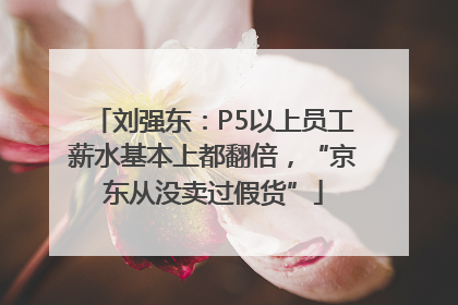 刘强东：P5以上员工薪水基本上都翻倍，“京东从没卖过假货”